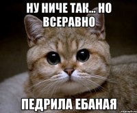 ну ниче так... но всеравно педрила ебаная