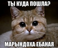 ты куда пошла? марындоха ебаная