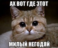 ах вот где этот милый негодяй