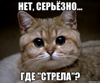 нет, серьёзно... где "стрела"?