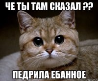 че ты там сказал ?? педрила ебанное