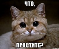 что, простите?