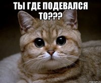 ты где подевался то??? 