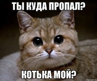 ты куда пропал? котька мой?