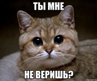 ты мне не веришь?