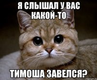 я слышал у вас какой-то тимоша завелся?