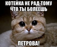 котейка не рад тому что ты болеешь петрова!