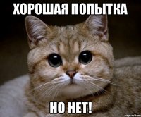 хорошая попытка но нет!