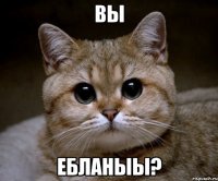 вы ебланыы?