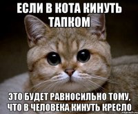 если в кота кинуть тапком это будет равносильно тому, что в человека кинуть кресло