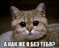  а как же я без тебя?