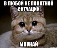 в любой не понятной ситуации мяукай