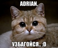 adrian. узбагойся.. :d