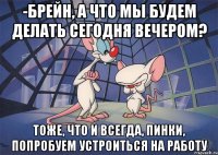 -брейн, а что мы будем делать сегодня вечером? тоже, что и всегда, пинки, попробуем устроиться на работу