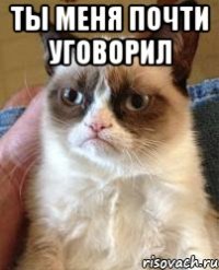 ты меня почти уговорил 