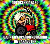 поросенк педро валит из сраной испашки на заработки