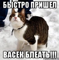 быстро пришел васек блеать!!!