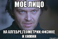моё лицо на алгебре,геометрии,физике и химии