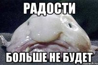 радости больше не будет