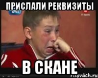 прислали реквизиты в скане