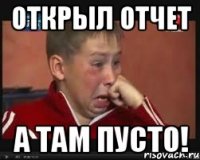 открыл отчет а там пусто!