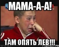 мама-а-а! там опять лев!!!