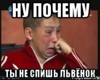 ну почему ты не спишь львёнок