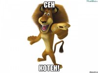 сен котен!