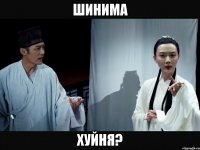 шинима хуйня?