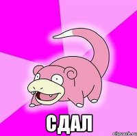  сдал