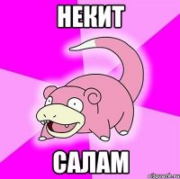 некит салам