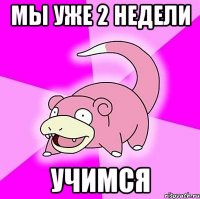 мы уже 2 недели учимся