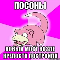 посоны новый мост возле крепости построили