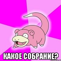  какое собрание?