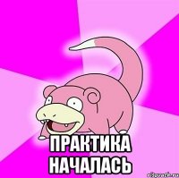  практика началась