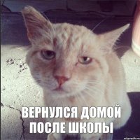 вернулся домой после школы