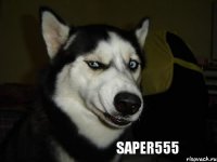 SaPeR555