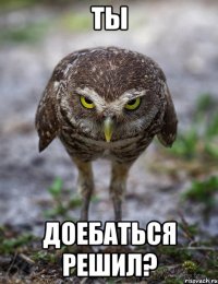 ты доебаться решил?
