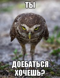 ты доебаться хочешь?
