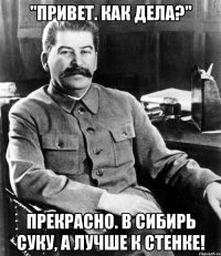 "привет. как дела?" прекрасно. в сибирь суку, а лучше к стенке!