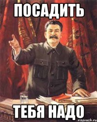 посадить тебя надо