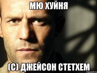 мю хуйня (с) джейсон стетхем