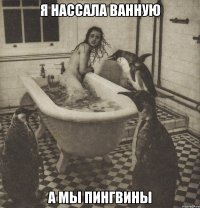 я нассала ванную а мы пингвины