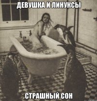 девушка и линуксы страшный сон