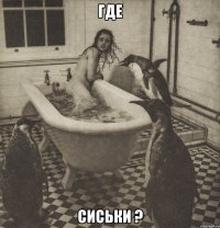 где сиськи ?