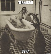 уебывай сука