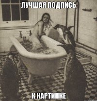 лучшая подпись к картинке