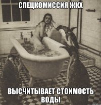 спецкомиссия жкх высчитывает стоимость воды