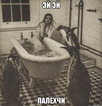 эй эй палехчи