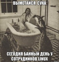 выметайся, сука сегодня банный день у сотрудников linux